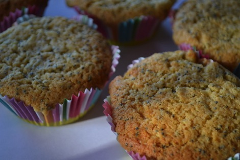 poppy seed cupcakes